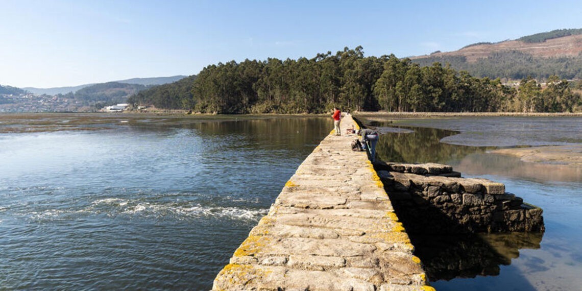 Última oportunidad para anotarse en las asombrosas visitas gratis de Voando nas Rías Baixas