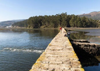 Última oportunidad para anotarse en las asombrosas visitas gratis de Voando nas Rías Baixas