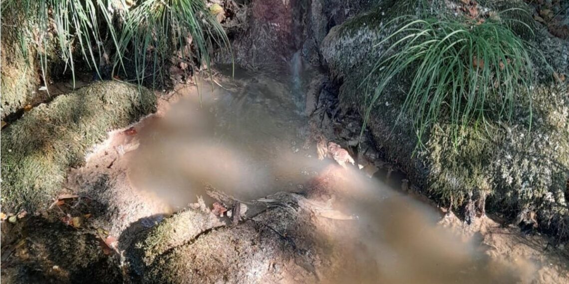 Alertan de graves impactos por un vertido en el río que abastece al embalse de Eiras