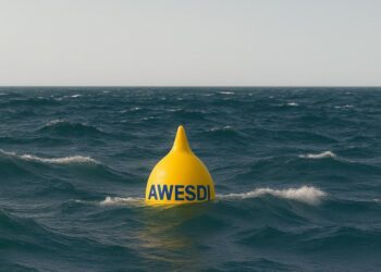 El CIM de la UVigo lidera una iniciativa que promueve el despliegue sostenible de las olas en la zona atlántica