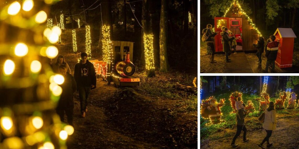 Escenarios mágicos, mucha luz y sorpresas en la ruta más especial de Navidad en el norte de Portugal