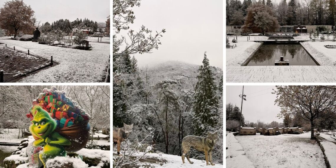 La nieve convierte la Floresta Encantada en uno de los escenarios más bonitos cerca de Vigo