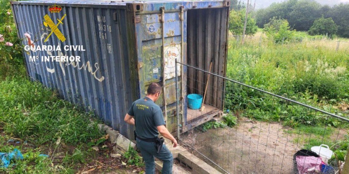 Investigan la muerte de un perro en Pontevedra como un caso de maltrato animal