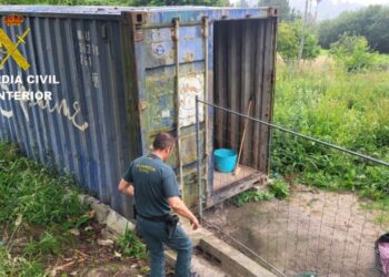 Investigan la muerte de un perro en Pontevedra como un caso de maltrato animal