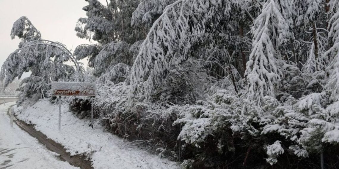 ¿Nevará en Vigo este viernes como pronostica Google? Esto es lo que dicen MeteoGalicia y Aemet