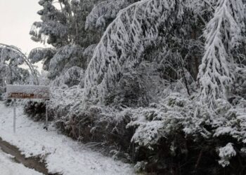 ¿Nevará en Vigo este viernes como pronostica Google? Esto es lo que dicen MeteoGalicia y Aemet