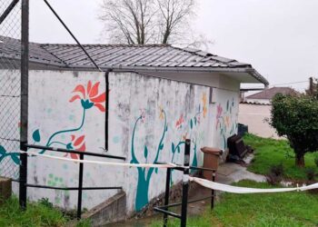 Polémica en Vigo por las "graves deficiencias" de un colegio público, "con amianto y humedades"