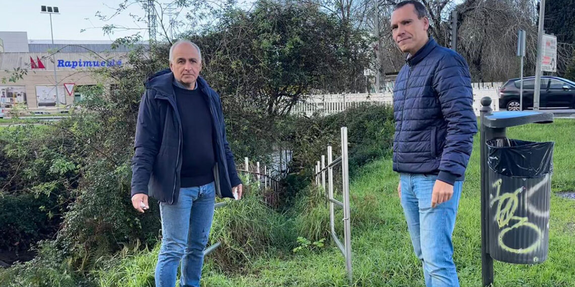 Denuncian el "abandono" del Paseo del Lagares en Vigo con árboles caídos, maleza y zonas intransitables