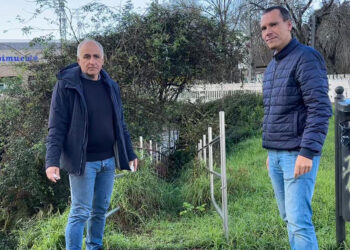 Denuncian el "abandono" del Paseo del Lagares en Vigo con árboles caídos, maleza y zonas intransitables