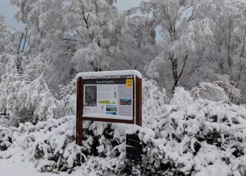 La nieve llega al área de Vigo y deja imágenes espectaculares en A Cañiza y otros puntos de Galicia