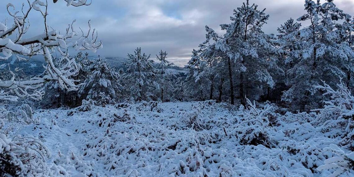 Las asombrosas fotos de la nieve en Galicia que dejó un manto blanco en el interior de las Rías Baixas