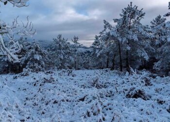 Las asombrosas fotos de la nieve en Galicia que dejó un manto blanco en el interior de las Rías Baixas