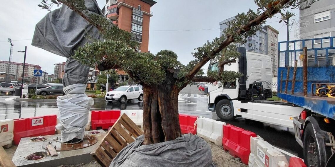 Vigo hace realidad la "oliveira dos cen anos" con un homenaje en Balaídos