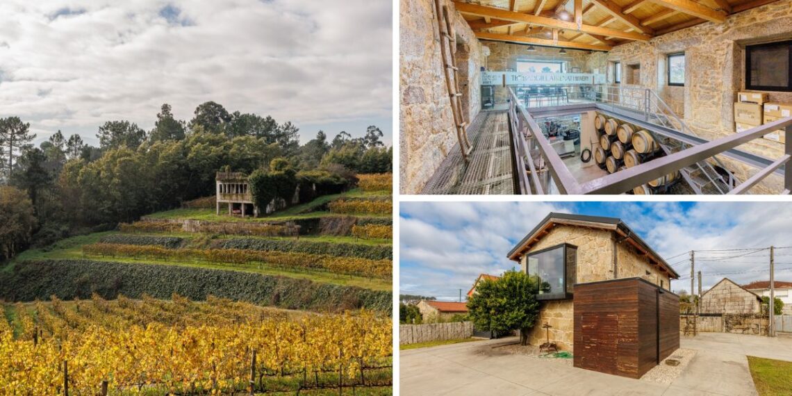 A la venta un gran viñedo y una bodega totalmente equipada a orillas del Miño