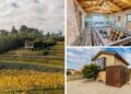 A la venta un gran viñedo y una bodega totalmente equipada a orillas del Miño