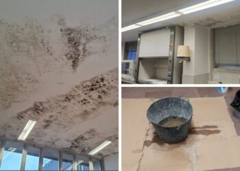 Indignación en Vigo por hongos, goteras y peligro "en el centro educativo más grande Galicia"