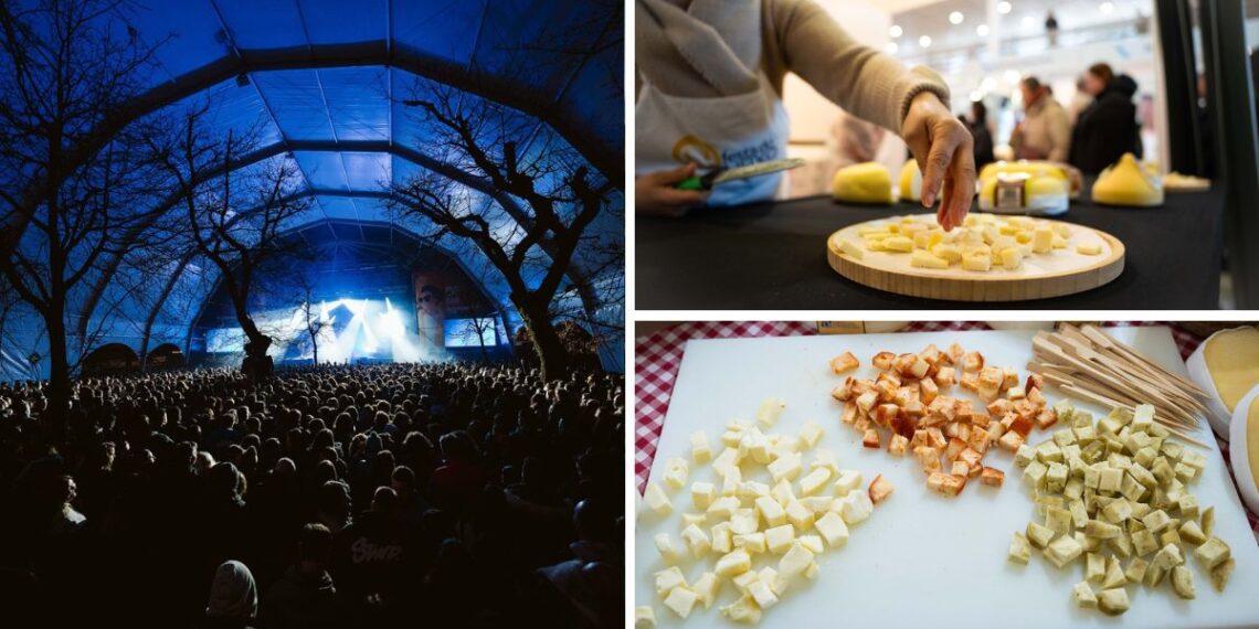 Ocho conciertos gratis y elaboraciones para todos los gustos, así será la mayor fiesta del queso de Galicia