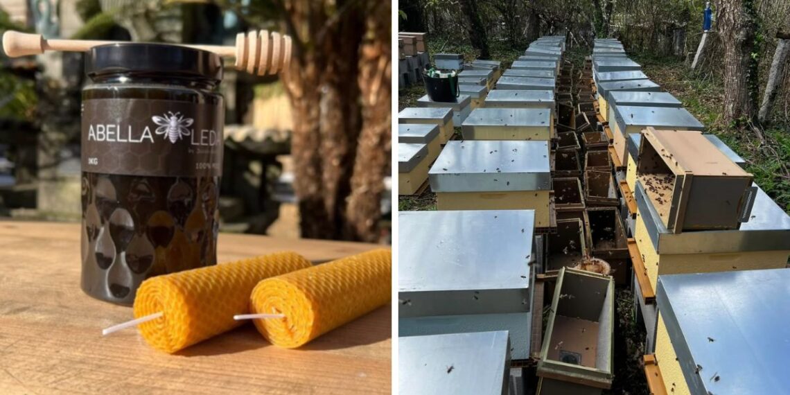 Una miel elaborada en Salceda se lleva el oro como una de las mejores del mundo