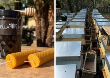 Una miel elaborada en Salceda se lleva el oro como una de las mejores del mundo