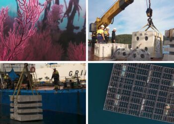 Vigo busca transformar el litoral del puerto en "un jardín bajo el mar"