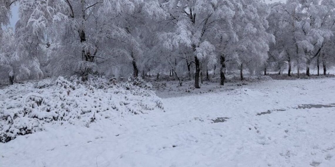 La nieve volverá a Galicia y activa una alerta amarilla por acumulados de más de 5 cm de espesor