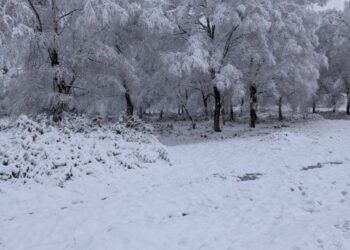 La nieve volverá a Galicia y activa una alerta amarilla por acumulados de más de 5 cm de espesor