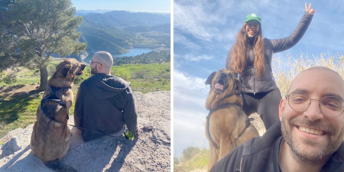 Renfe margina a Galicia de su política 'pet friendly', "viajar a Vigo es imposible"