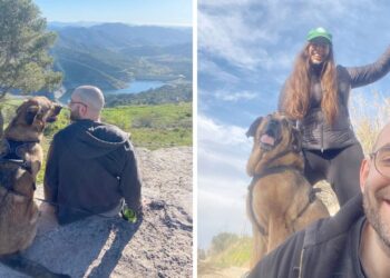 Renfe margina a Galicia de su política 'pet friendly', "viajar a Vigo es imposible"