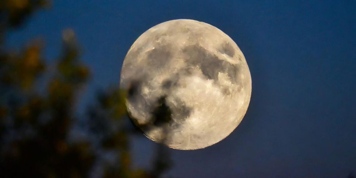 Llega el primer fenómeno astronómico del 2026, la conocida como "Luna del Lobo"