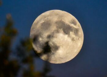 Llega el primer fenómeno astronómico del 2026, la conocida como "Luna del Lobo"
