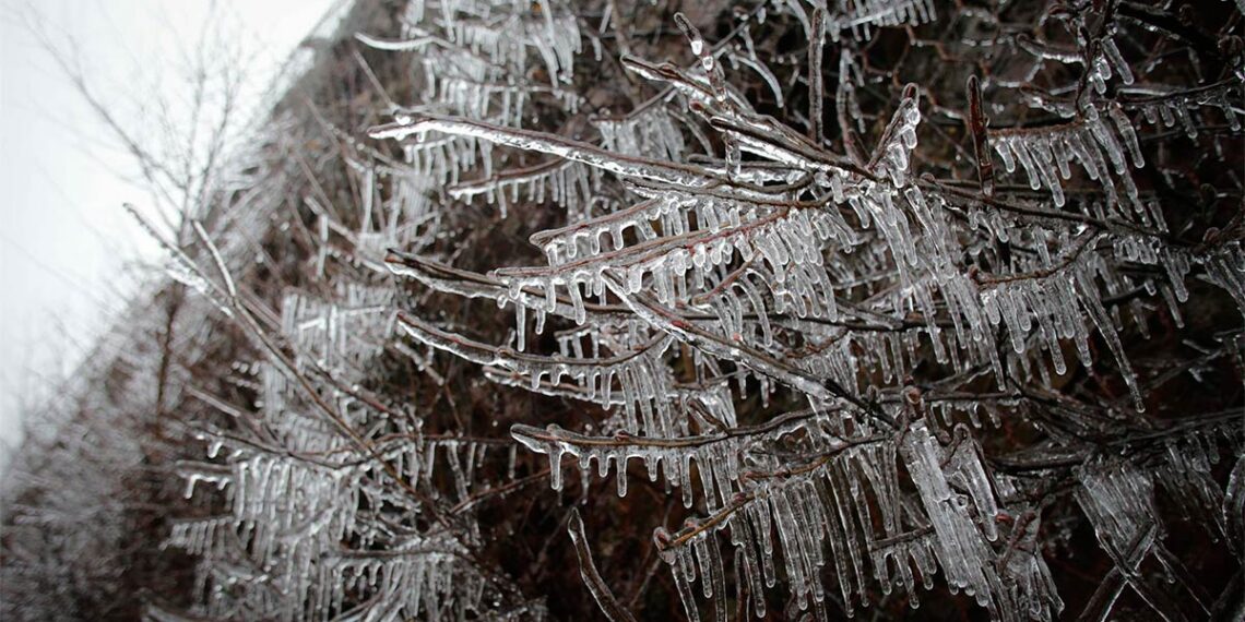 El concello ourensano de A Veiga registra la mínima de Galicia con -8,7 grados