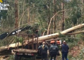 Muere un hombre en Soutomaior tras caerle encima un árbol que estaba talando