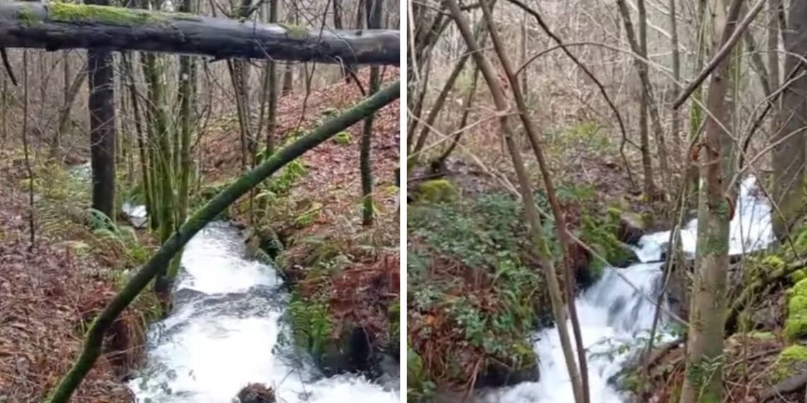 Una cascada oculta del área de Vigo muestra su máximo esplendor con las lluvias