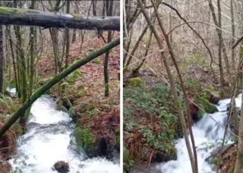 Una cascada oculta del área de Vigo muestra su máximo esplendor con las lluvias