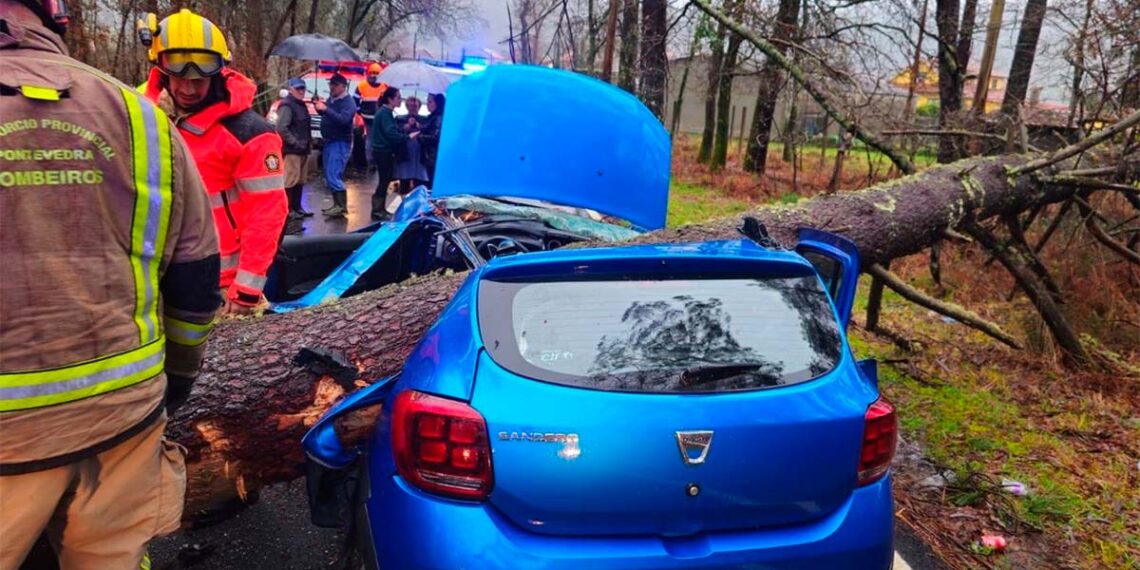Aparatoso accidente en Galicia, un árbol de tres toneladas destroza un turismo: hay una herida leve