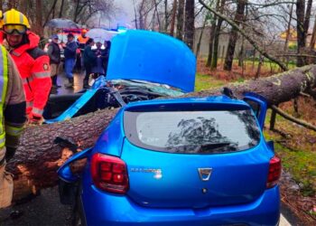 Aparatoso accidente en Galicia, un árbol de tres toneladas destroza un turismo: hay una herida leve
