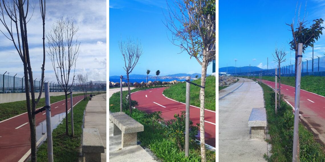 Vecinos de Vigo advierten de la muerte de la vegetación en el paseo de Bouzas
