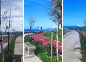 Vecinos de Vigo advierten de la muerte de la vegetación en el paseo de Bouzas