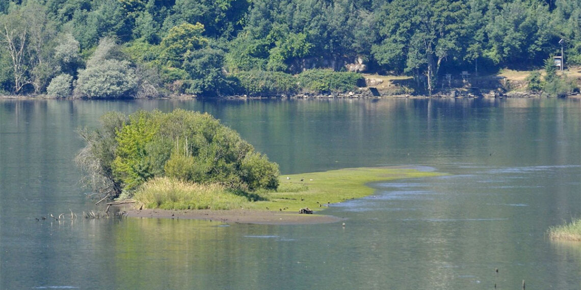 Aparece el cuerpo sin vida de una persona en el embalse de Castrelo de Miño, en Ribadavia