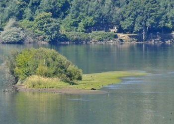Aparece el cuerpo sin vida de una persona en el embalse de Castrelo de Miño, en Ribadavia