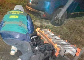 Golpe al narcotráfico en Vigo, dos detenidos por intentar introducir 80 kilos de cocaína desde Ecuador