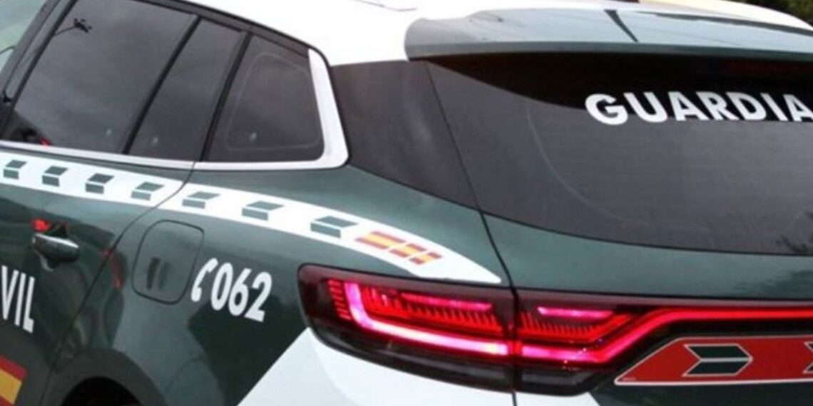 Identifican a los dueños de siete de los perros que atacaron a una mujer en Tomiño