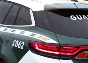 Identifican a los dueños de siete de los perros que atacaron a una mujer en Tomiño