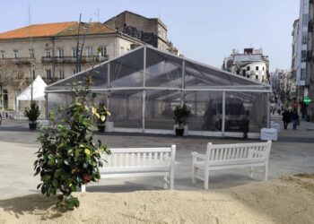 La reina Letizia presidirá el Concurso de Camelias que ha transformado la Porta do Sol de Vigo