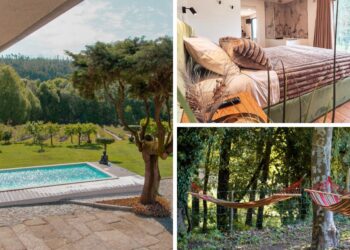 Hamacas, piscina y desconexión entre viñedos, los alojamientos que triunfan en el norte de Portugal