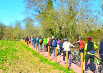 Ofrecen siete rutas de senderismo para descubrir la naturaleza y el patrimonio de Tui y Valença
