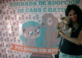 Llega la primera gran feria de adopciones de perros y gatos del año en Tomiño