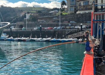 La Universidade de Vigo revoluciona la pesca costera del bonito con cañas inteligentes y ergonómicas
