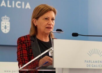 La viguesa Elena Espinosa presenta su renuncia como diputada autonómica del PSdeG