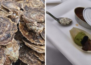 El área de Vigo ya tiene fechas para la gran Festa da Ostra, y estos son los precios